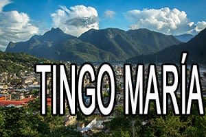 veoVida - Centro de entrega en Tingo maría