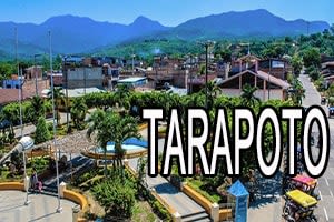 veoVida - Centro de entrega en Tarapoto